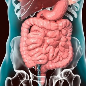 Jan10_2020_Getty_1148110203_DigestiveSystem.jpg