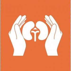 urology-illustration-vector-graphics-euclidean-vector-shreedevi-hospital-png-favpng-kYCq7q7QH9SrwvCTQnBZHWuFN.jpg